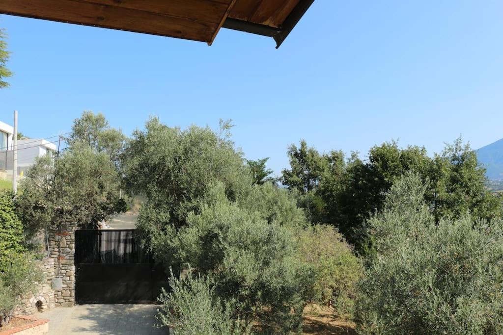 Private Hillside Villa Near Teg Full Privacy تيرانا المظهر الخارجي الصورة