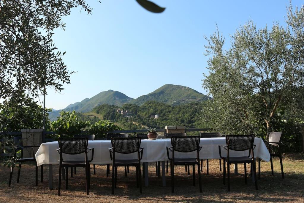 Private Hillside Villa Near Teg Full Privacy تيرانا المظهر الخارجي الصورة